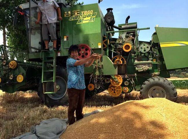 taptap开户-taptap体育注册