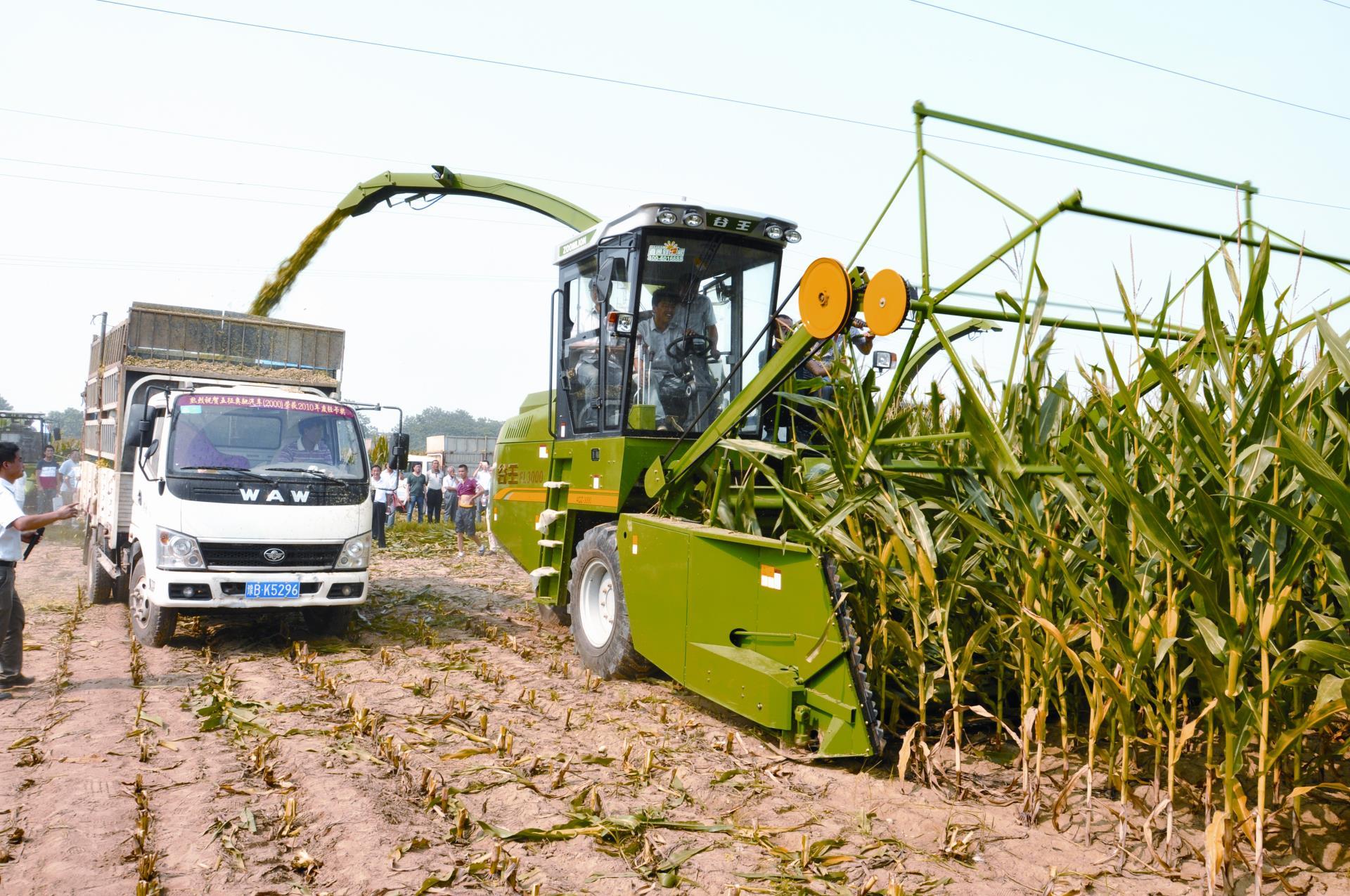 taptap开户-taptap体育注册