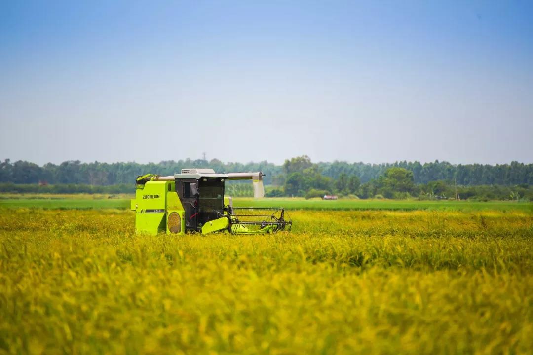 taptap开户-taptap体育注册